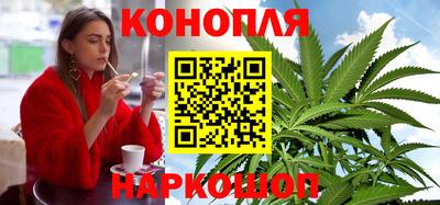 spice Новодвинск