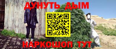 spice Новодвинск
